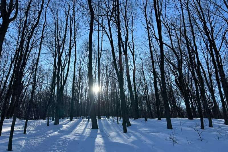 Ouverture des nouveaux sentiers rustiques au parc du Bois-Beckett